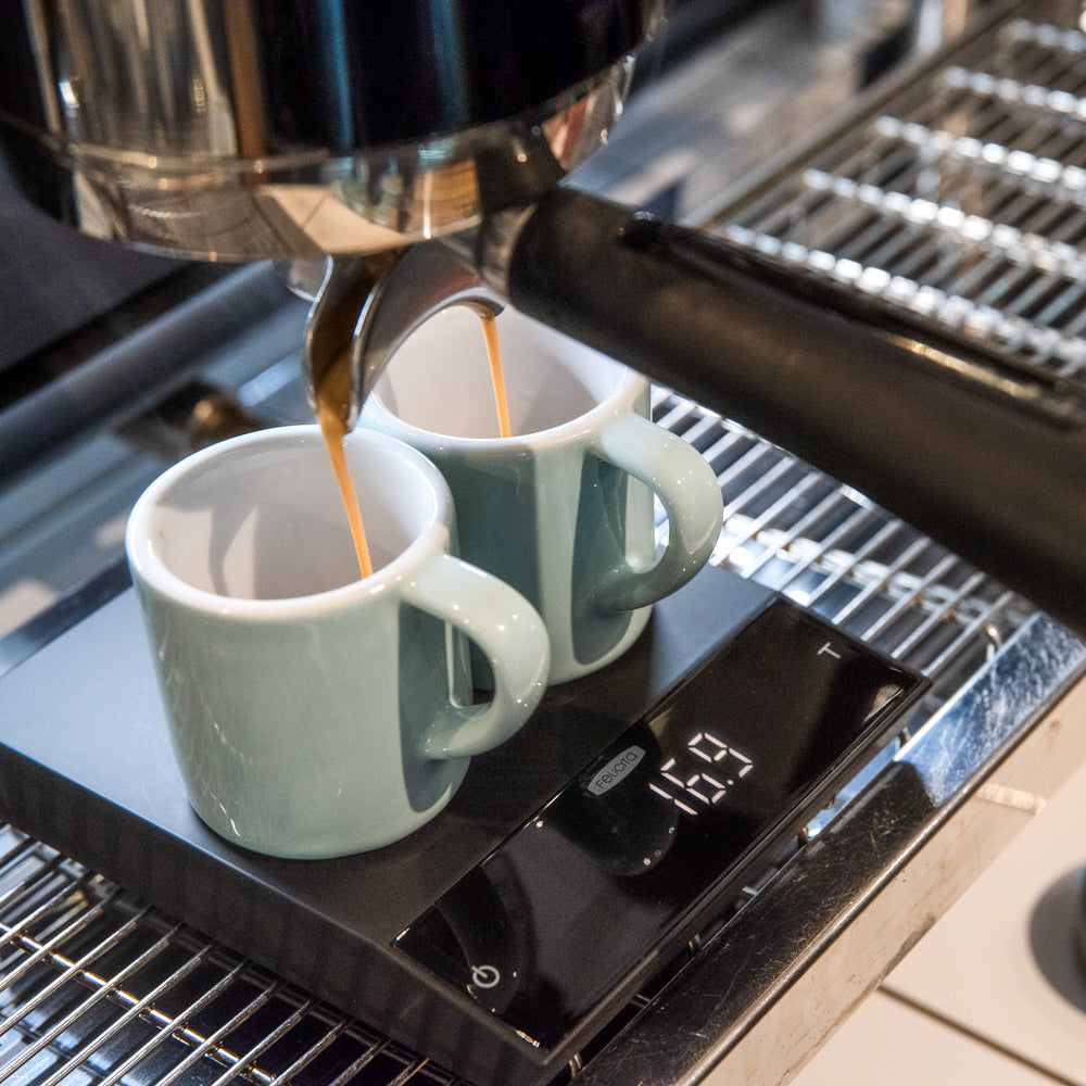 FELICITA PARALLEL SCALES