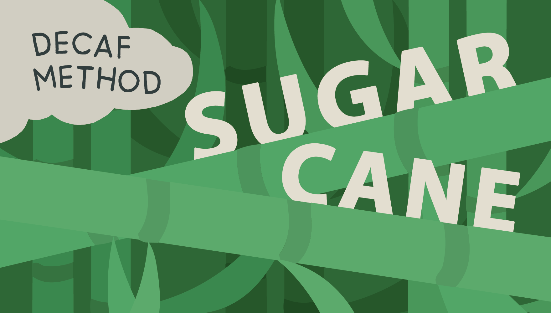 A graphic with lots of sugarcane in the background and the words Decaf method - Sugar Cane written on it.