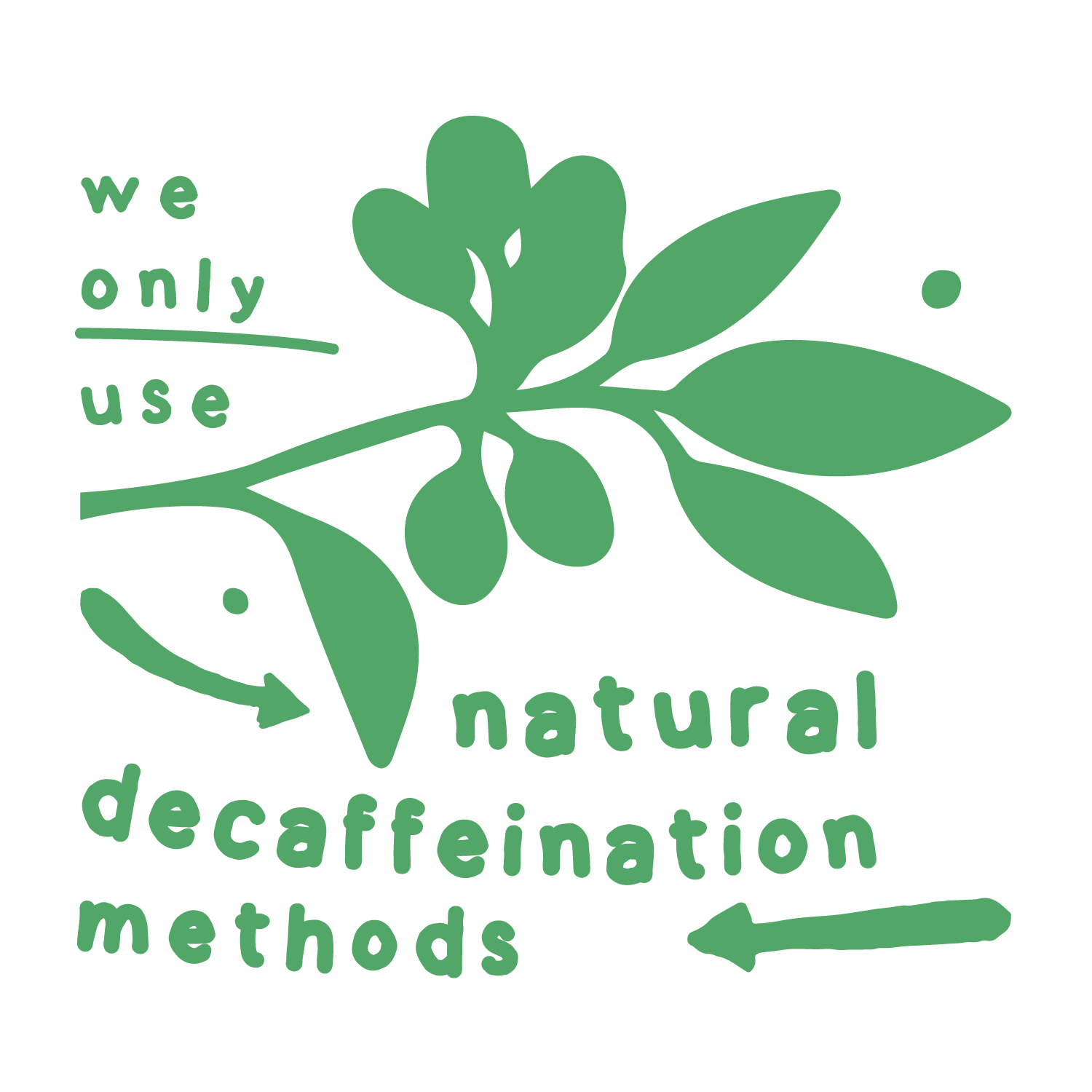 A green cartoon image of a leaf with the words "We only use natural decaffeination methods" on it.